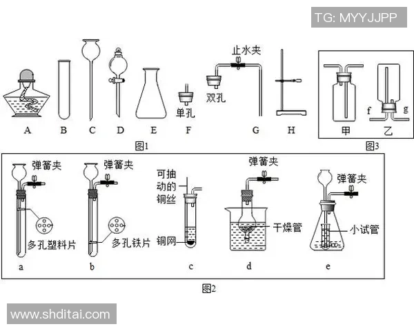 足球标准编号的重要性与应用解析及其对行业发展的影响
