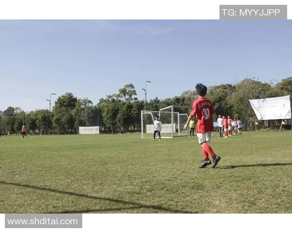 足球王文宗的传奇人生与不屈精神在绿茵场上的辉煌历程