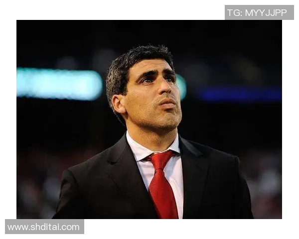 足球雷纳：从绿茵场上的传奇到生活中的灵感启示